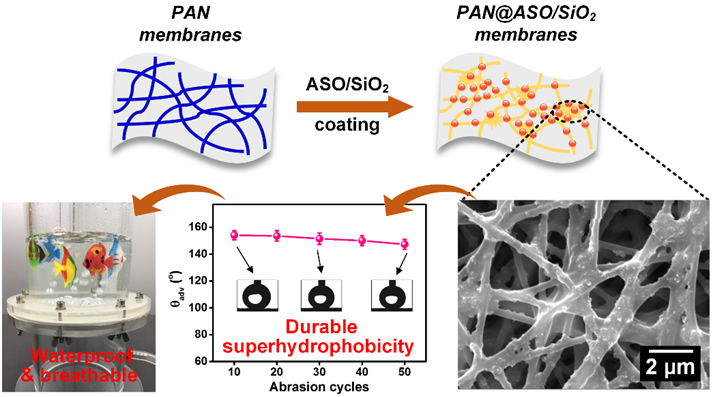 无氟超疏水防水透湿功能膜材料研究取得紧张进展